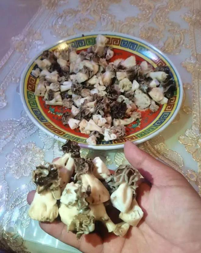 人都没吃过的美食;巴楚蘑菇拌面！pg电子免费模拟器99%的新疆(图4)