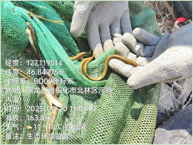 来临守护舌尖安全拒绝野味pg模拟器试玩五一假期(图1)