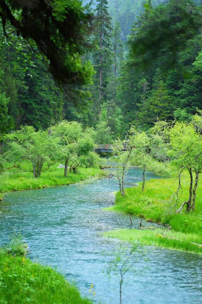 游攻略四川五日游价格省钱篇分享啦pg电子平台陪朋友去四川一趟跟团(图2)